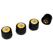 Датчики давления в шинах Pandora (внешние, BT4.0)